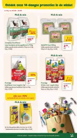 Pagina 7