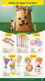 Pagina 8