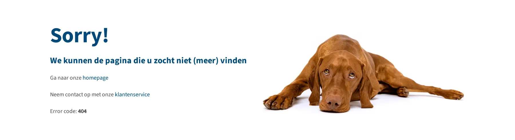 Medpets folder pagina 1