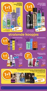 Pagina 8